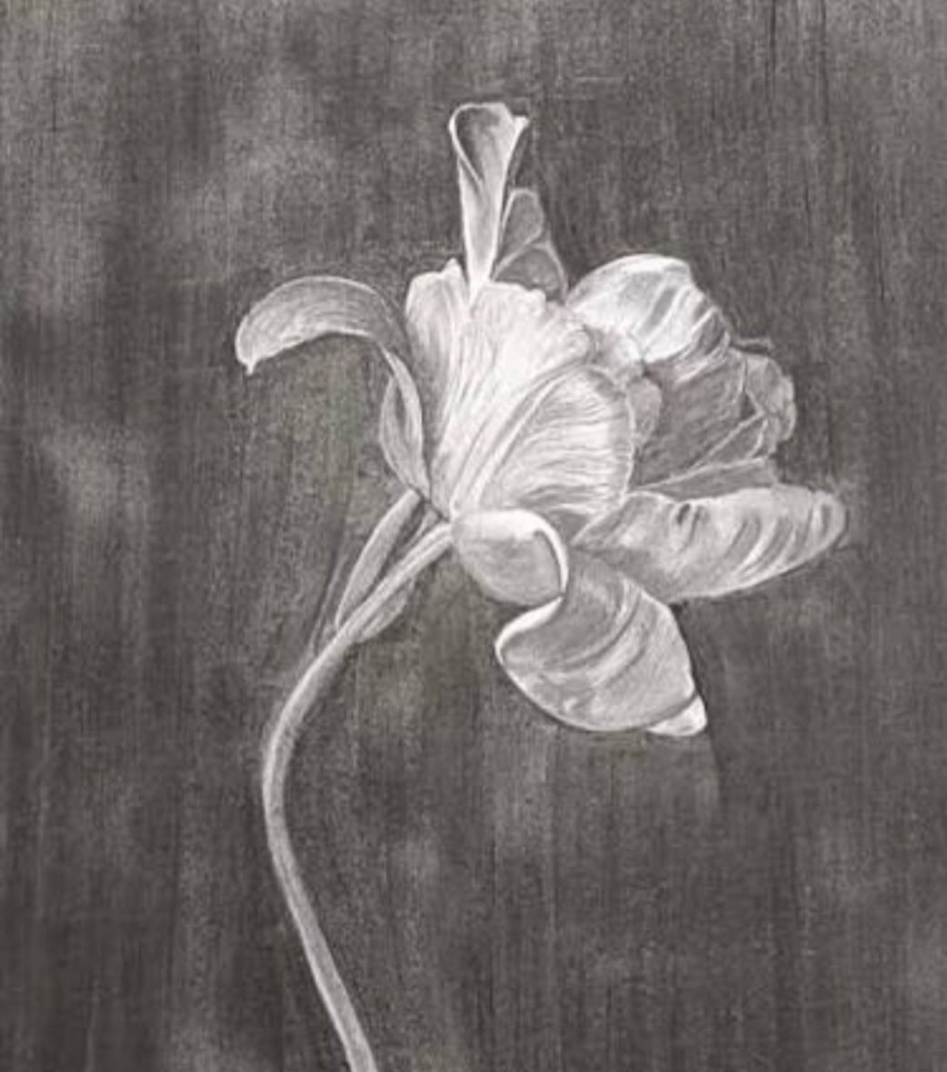 Arts plastiques